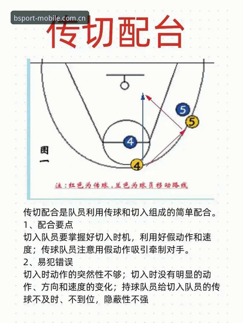 必博体育官网深度分析：bsport体育教程与实战操作全面解析